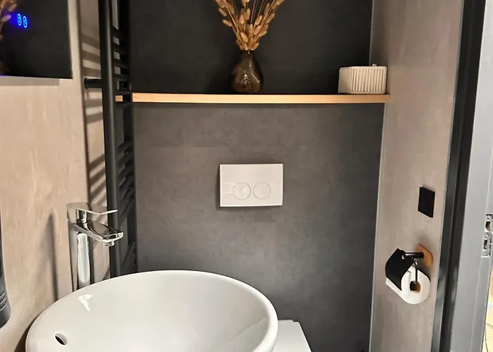 Den Vraas Appartement *